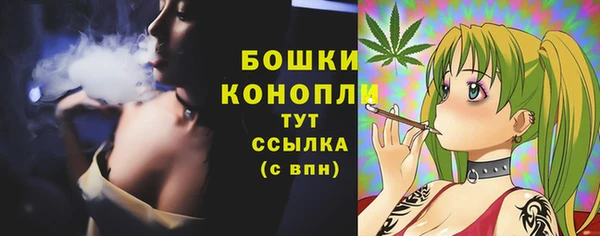 шишки Карталы