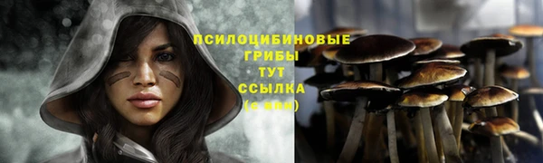 шишки Карталы