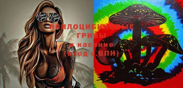 трава Киреевск